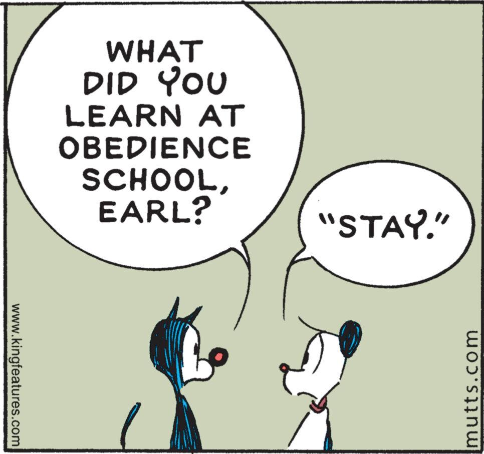 Art OCR: www.kingfeatures.com WHAT DID YOU LEARN AT OBEDIENCE SCHOOLEARL? "STAY." mutts.com www.kingfeatures.com WHAT DID YOU LEARN AT OBEDIENCE SCHOOLEARL ? " STAY . " mutts.com