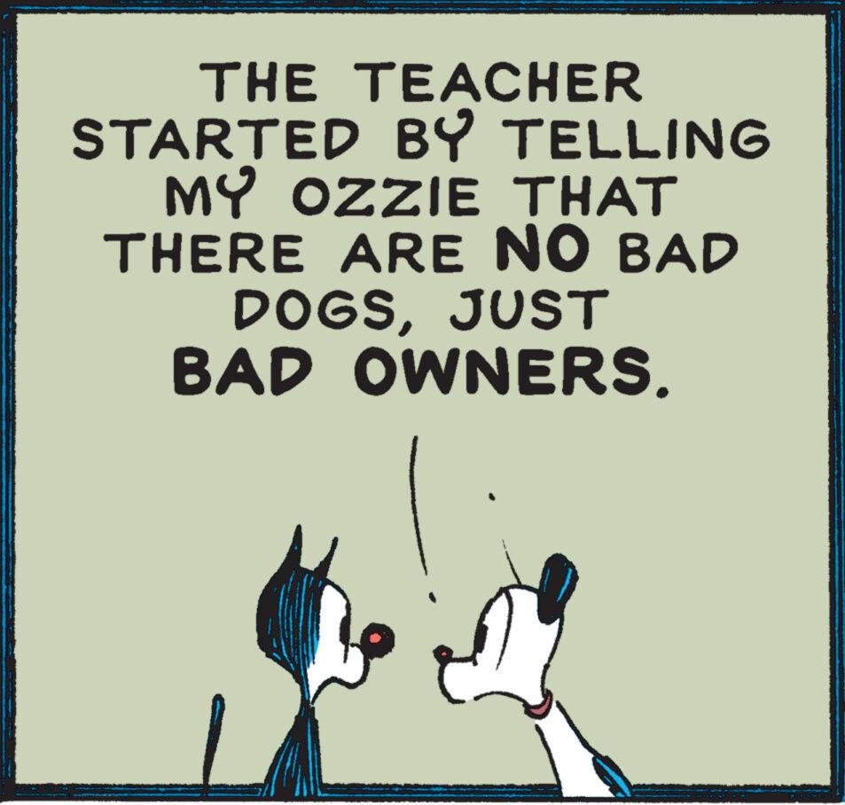 Photo caption OCR: THE TEACHER STARTED BY TELLING MY OZZIE THAT THERE ARE NO BAD DOGSJUST BAD OWNERS. THE TEACHER STARTED BY TELLING MY OZZIE THAT THERE ARE NO BAD DOGSJUST BAD OWNERS .