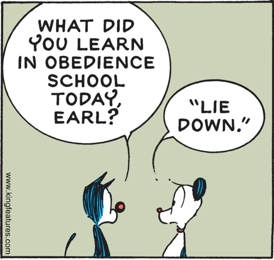 Line OCR: www.kingfeatures.com WHAT DID YOU LEARN IN OBEDIENCE SCHOOL TODAYEARL? "LIE DOWN." www.kingfeatures.com WHAT DID YOU LEARN IN OBEDIENCE SCHOOL TODAYEARL ? " LIE DOWN . "