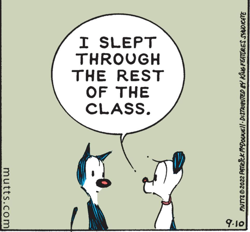 Fictional character OCR: mutts.com I SLEPT THROUGH THE REST OF THE CLASS. MUTTS?2022 PATRICK MCDONNE!!· DISTRIBUTED BY KING FEATURES SYNDICATE 9.10 mutts.com I SLEPT THROUGH THE REST OF THE CLASS . MUTTS?2022 PATRICK MCDONNE !! · DISTRIBUTED BY KING FEATURES SYNDICATE 9.10