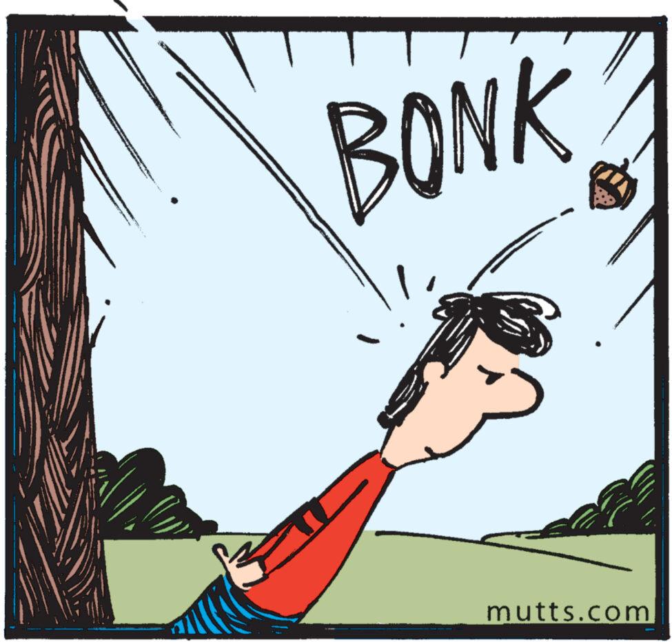 Mutts - Part 2 - 2022-09-12