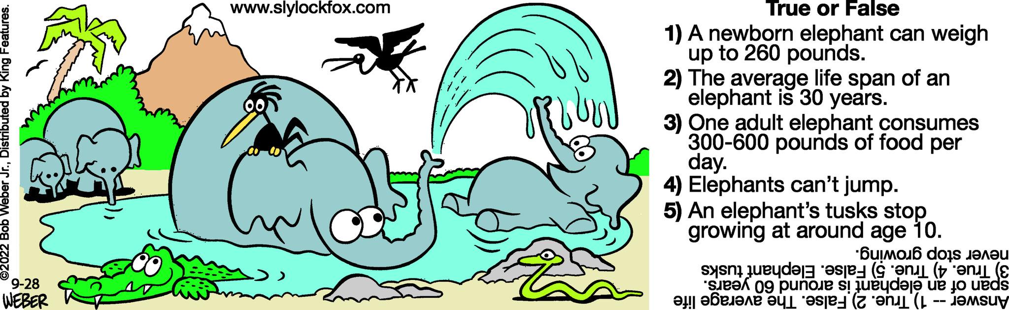 Line OCR: 9-28 WEBER www.slylockfox.com True or False 1) A newborn elephant can weigh up to 260 pounds. 2) The average life span of an elephant is 30 years. 3) One adult elephant consumes 300-600 pounds of food per day. 4) Elephants can't jump. 5) An elephant's tusks stop growing at around age 10. 6uIM016 d?s ????? ( se pune si de ce to ed be (sy 9-28 WEBER www.slylockfox.com True or False 1 ) A newborn elephant can weigh up to 260 pounds . 2 ) The average life span of an elephant is 30 years . 3 ) One adult elephant consumes 300-600 pounds of food per day . 4 ) Elephants can't jump . 5 ) An elephant's tusks stop growing at around age 10 . 6uIM016 d?s ????? ( se pune si de ce to ed be ( sy