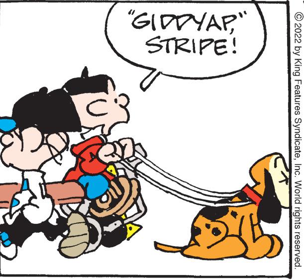 Art OCR: ?2022 by King Features SyndicateInc. World rights reserved. "GIDDYAP" STRIPE! 13 1.6 ?2022 by King Features SyndicateInc. World rights reserved . " GIDDYAP" STRIPE ! 13 1.6