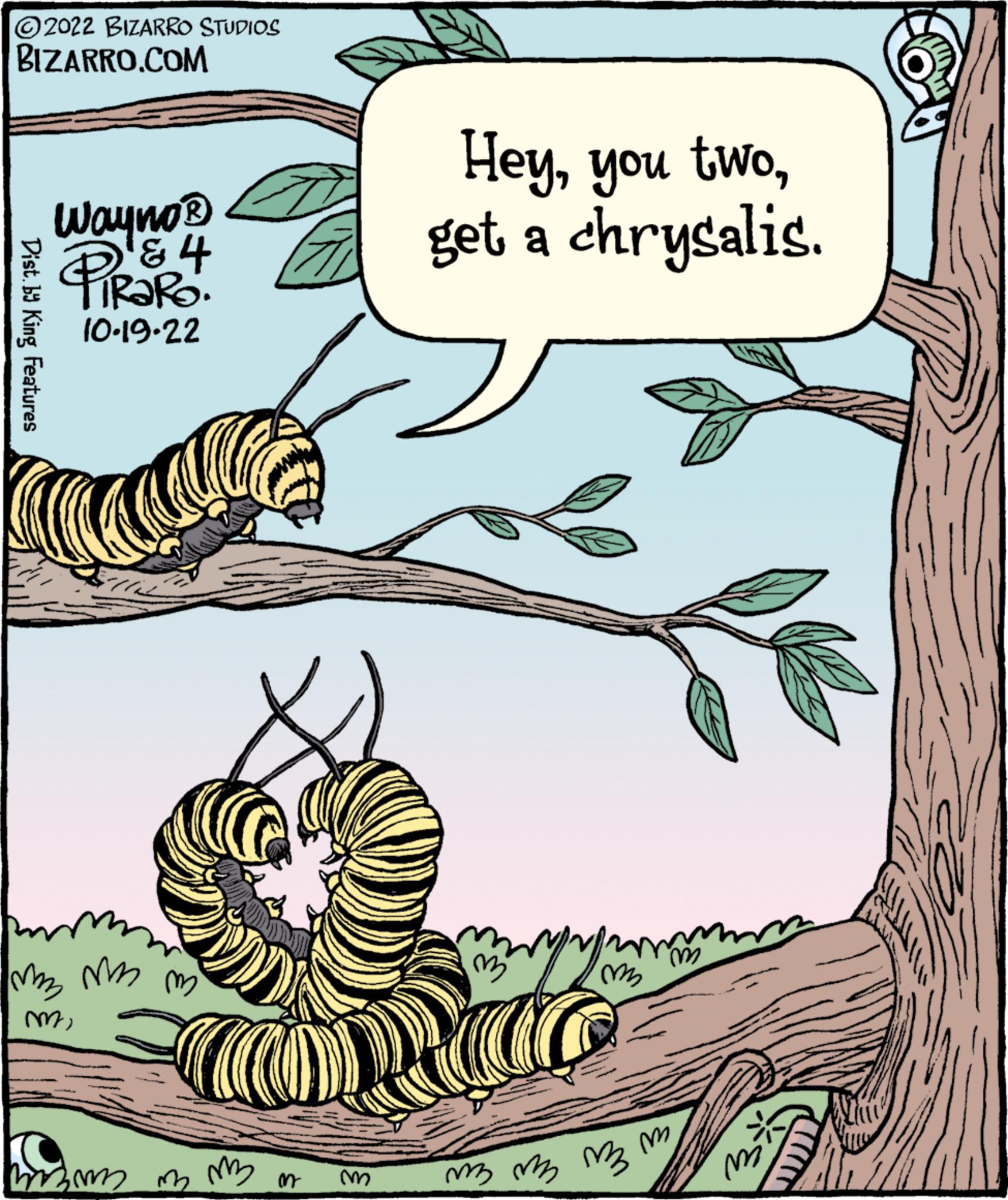 Parallel OCR: ?2022 BIZARRO STUDIOS BIZARRO.COM Dist. by King Features Wayno? & 4 TIRARO. 10.19.22 M2 M m mi For all O mm m m m m Heyget a chrysalis. m m m3 m3 m3 m mi L ?2022 BIZARRO STUDIOS BIZARRO.COM Dist . by King Features Wayno? & 4 TIRARO . 10.19.22 M2 M m mi For all O mm m m m m Heyyou twoget a chrysalis . m m m3 m3 m3 m mi L