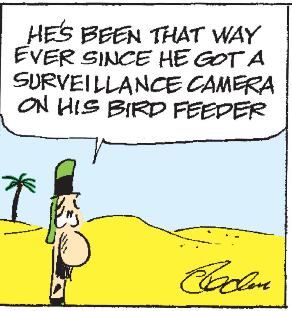 Event OCR: HE'S BEEN THAT WAY EVER SINCE HE GOT A SURVEILLANCE CAMERA ON HIS BIRD FEEDER Ens Raden HE'S BEEN THAT WAY EVER SINCE HE GOT A SURVEILLANCE CAMERA ON HIS BIRD FEEDER Ens Raden