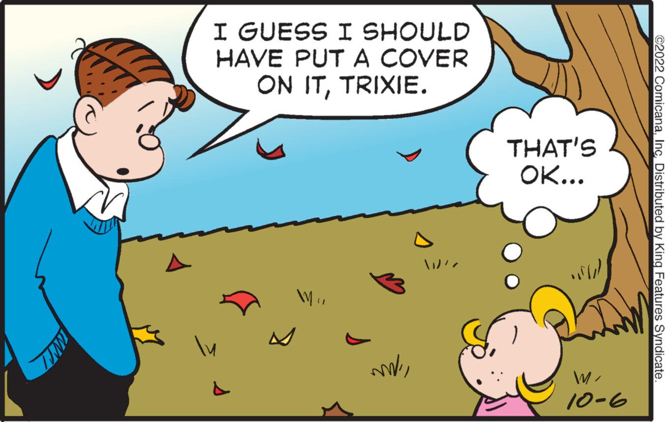 Line OCR: I GUESS I SHOULD HAVE PUT A COVER ON ITTRIXIE. "M Tuu THAT'S OK... MI 10-6 ©2022 ComicanaInc. Distributed by King Features Syndicate. I GUESS I SHOULD HAVE PUT A COVER ON ITTRIXIE . " M Tuu THAT'S OK ... MI 10-6 © 2022 ComicanaInc. Distributed by King Features Syndicate .