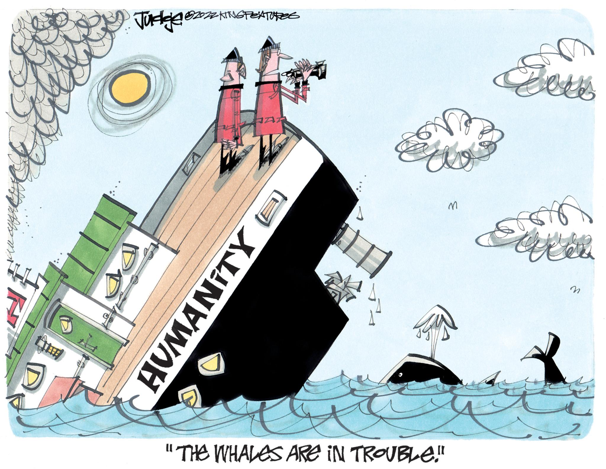 Rectangle OCR: tind ?2022 KING FEATURES Judge ?20 DP HAR HUMANITY to "THE WHALES ARE IN TROUBLE!" M Eve tren tind ?2022 KING FEATURES Judge ?20 DP HAR HUMANITY to " THE WHALES ARE IN TROUBLE ! " M Eve tren