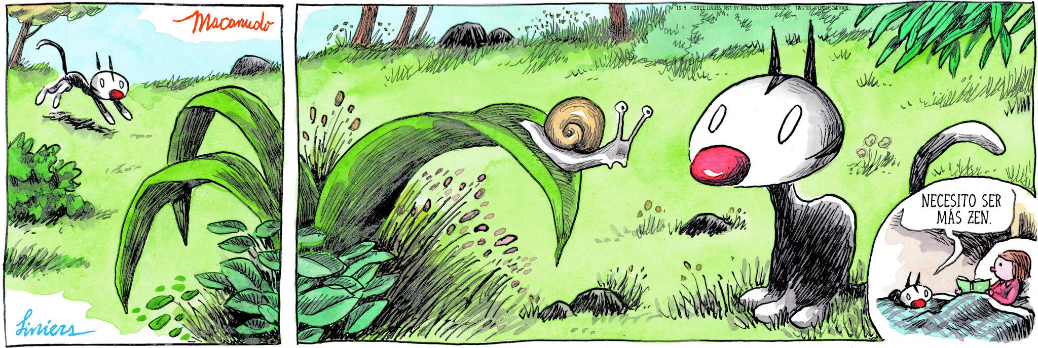 Grassland OCR: Siniers Macanudo Hall V wku.. 00 W NECESITO SER MÁS ZEN. Siniers Macanudo Hall V wku .. 00 W NECESITO SER MÁS ZEN .
