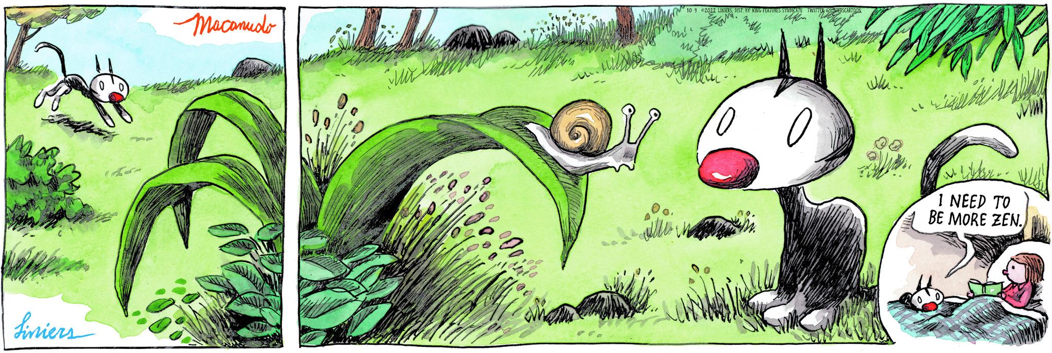 Adaptation OCR: Liniers Macanudo V 30 ???????????? .... I NEED TO BE MORE ZEN. Liniers Macanudo V 30 ???????????? .... I NEED TO BE MORE ZEN .