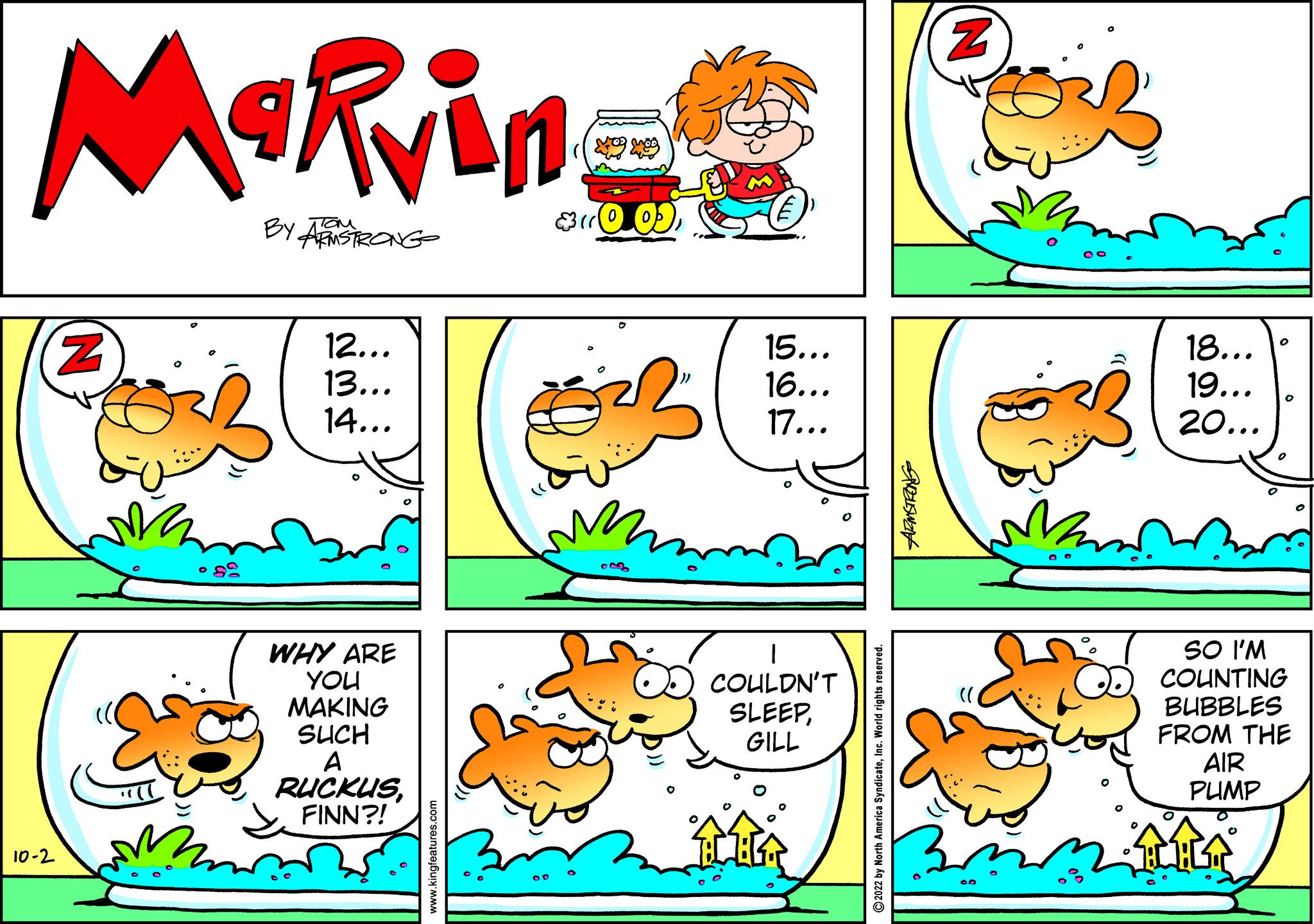 Rectangle OCR: Marvin BY ARMSTRONG ??? 10-2 Z so 12... 13... 14... WHY ARE YOU MAKING SUCH A RUCKUSFINN?! 15... 16... 17... COULDN'T SLEEPGILL GROELSWEN Z 18... 19... 20... SO I'M COUNTING BUBBLES FROM THE AIR PUMP Marvin BY ARMSTRONG ??? 10-2 Z so 12 ... 13 ... 14 ... WHY ARE YOU MAKING SUCH A RUCKUSFINN ?! 15 ... 16 ... 17 ... COULDN'T SLEEPGILL GROELSWEN Z 18 ... 19 ... 20 ... SO I'M COUNTING BUBBLES FROM THE AIR PUMP