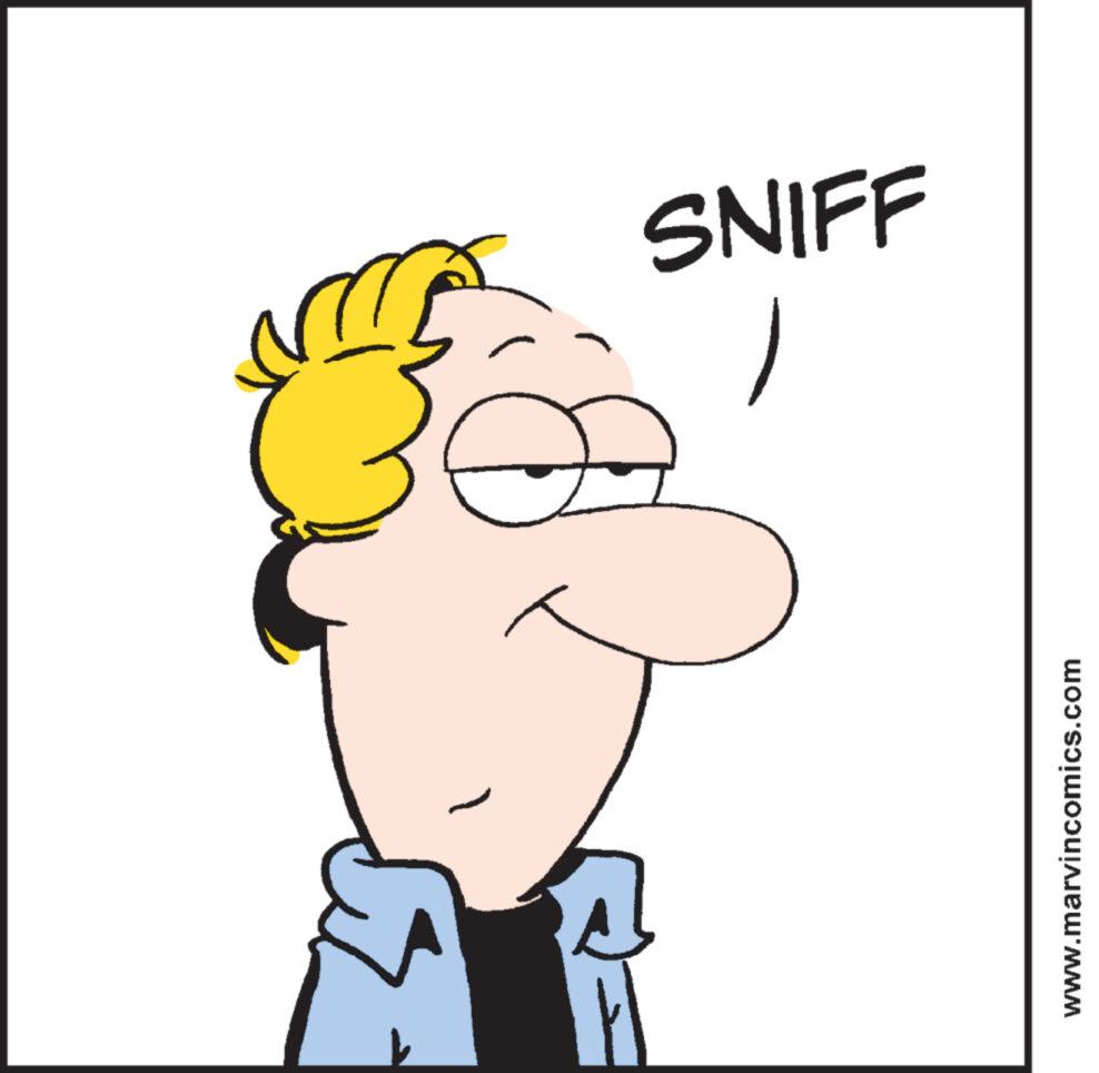 Output device OCR: SNIFF www.marvincomics.com SNIFF www.marvincomics.com