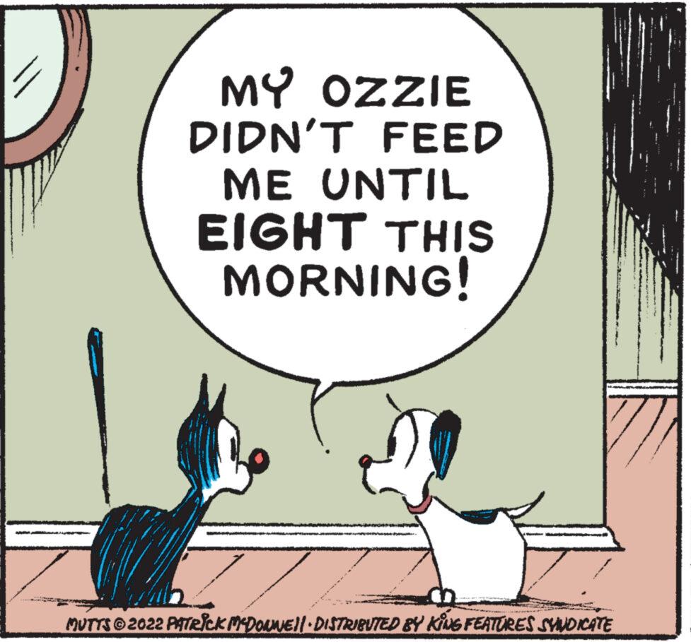 Companion dog OCR: N MY OZZIE DIDN'T FEED ME UNTIL EIGHT THIS MORNING! MUTTS 2022 PATRICK MCDONWE||· DISTRIBUTED BY KING FEATURES SYNDICATE N MY OZZIE DIDN'T FEED ME UNTIL EIGHT THIS MORNING ! MUTTS 2022 PATRICK MCDONWE || · DISTRIBUTED BY KING FEATURES SYNDICATE