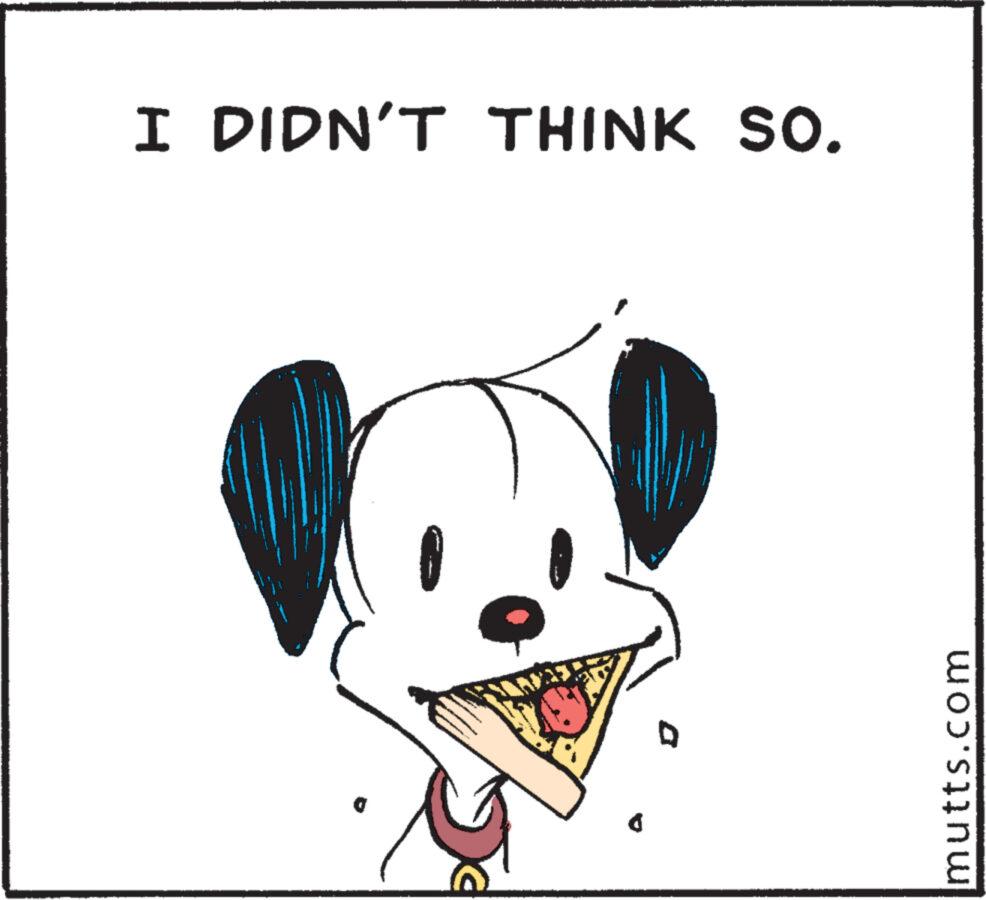 Drawing OCR: I DIDN'T THINK SO. mutts.com I DIDN'T THINK SO . mutts.com