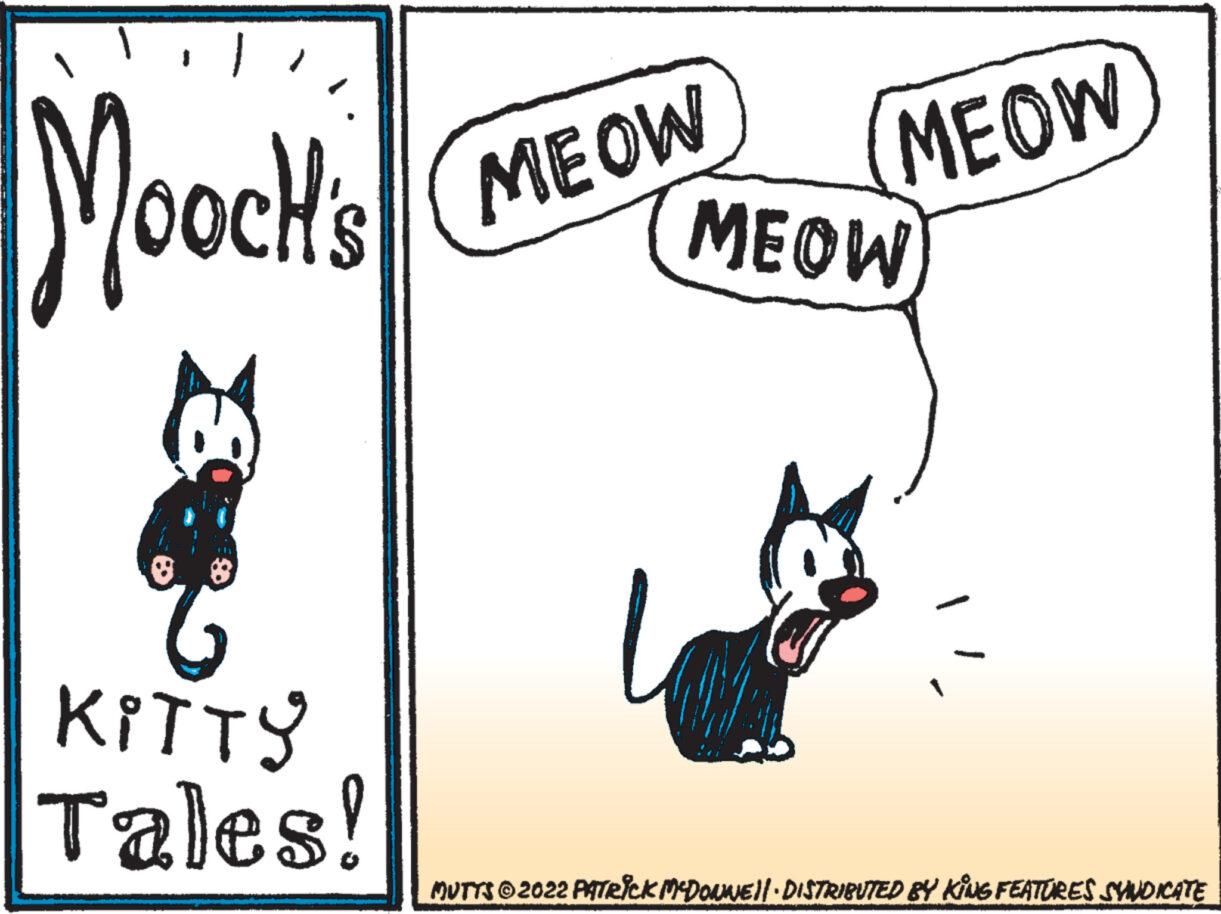 Illustration OCR: il MOOCH'S KITTY Tales! MEOW MEOW MEOW MUTTS?2022 PATRICK MCDONNE)|· DISTRIBUTED BY KING FEATURES SYNDICATE il MOOCH'S KITTY Tales ! MEOW MEOW MEOW MUTTS?2022 PATRICK MCDONNE ) | · DISTRIBUTED BY KING FEATURES SYNDICATE