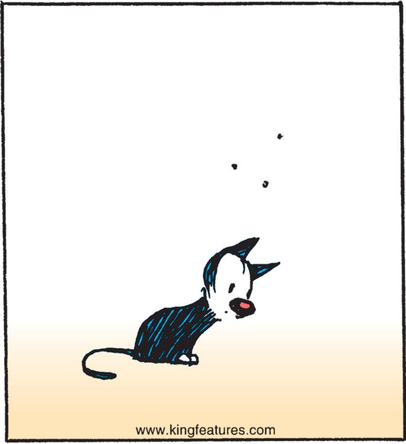Mutts - Part 2 - 2022-10-10