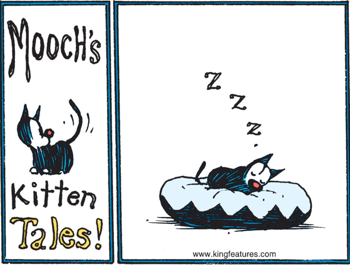 Illustration OCR: Mooch's Kitten Tales! N Z N www.kingfeatures.com Mooch's Kitten Tales ! N Z N www.kingfeatures.com