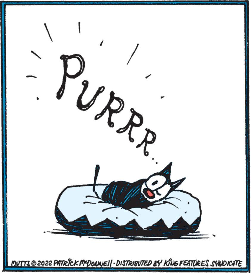 Poster OCR: PURRR MUTTS © 2022 PATRICK MCDOUNE||· DISTRIBUTED BY KING FEATURES SYNDICATE PURRR MUTTS © 2022 PATRICK MCDOUNE || · DISTRIBUTED BY KING FEATURES SYNDICATE