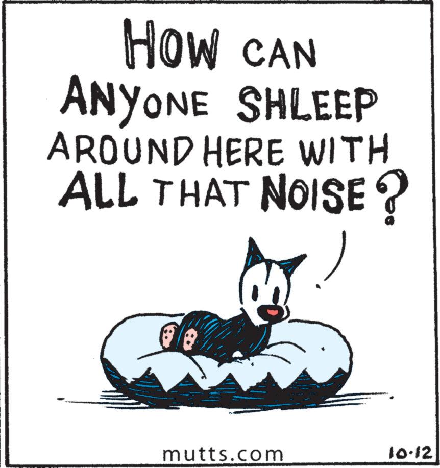 Felidae OCR: HOW CAN ANYONE SHLEEP AROUND HERE WITH ALL THAT NOISE? mutts.com 10.12 HOW CAN ANYONE SHLEEP AROUND HERE WITH ALL THAT NOISE ? mutts.com 10.12