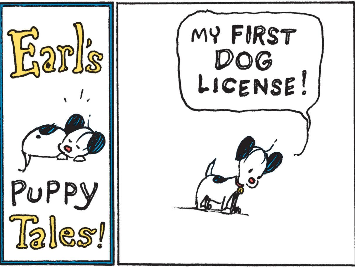 Slope OCR: Earl's PUPPY Tales! MY FIRST DOG LICENSE! Earl's PUPPY Tales ! MY FIRST DOG LICENSE !