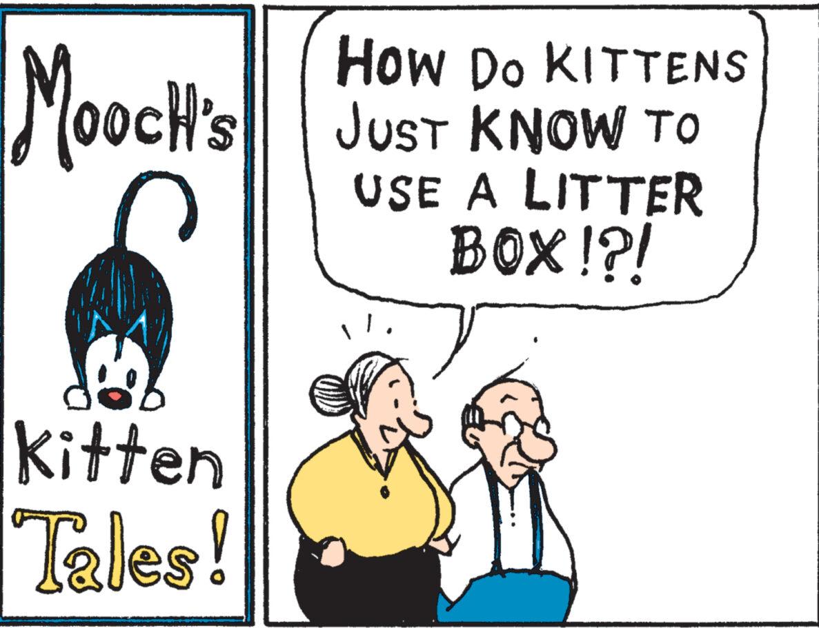 Rectangle OCR: Mooch's Kitten Tales! How Do KITTENS JUST KNOW TO USE A LITTER BOX!?! Mooch's Kitten Tales ! How Do KITTENS JUST KNOW TO USE A LITTER BOX ! ? !