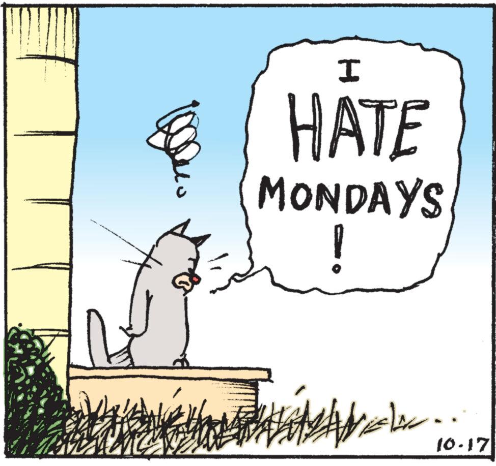 Whiskers OCR: I HATE MONDAYS ??? ???? 10.17 I HATE MONDAYS ??? ???? 10.17