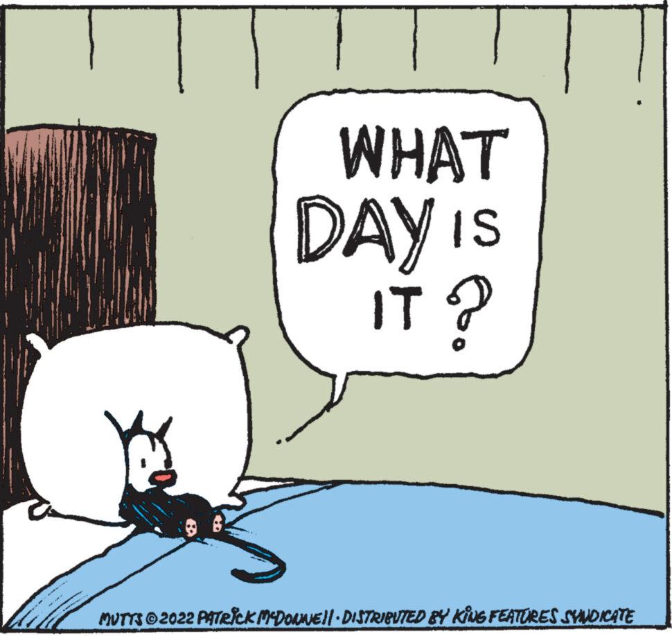 Mutts - Part 3 - 2022-10-17
