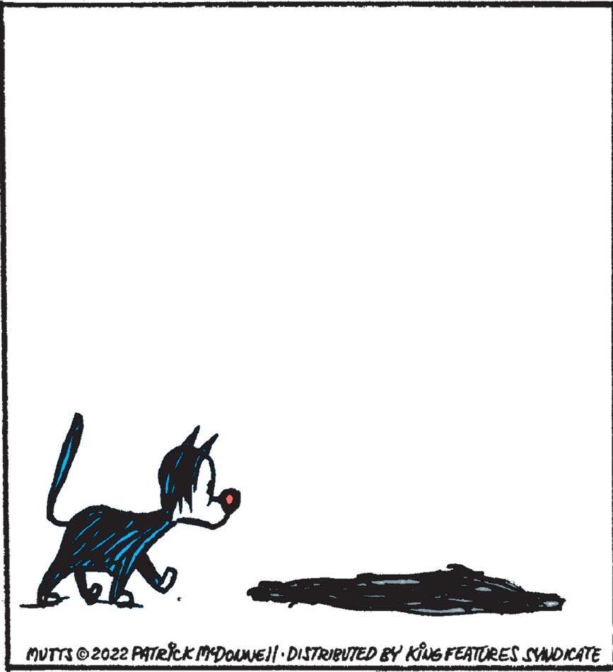 Mutts - Part 1 - 2022-10-19