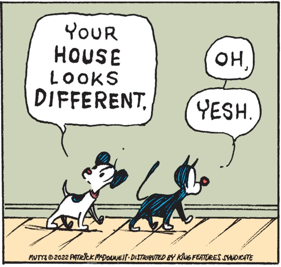 Font OCR: YOUR HOUSE LOOKS DIFFERENTOH YESH A MUTTS ©2022 PATRICK MCDONWEIT DISTRIBUTED BY KING FEATURES SYNDICATE YOUR HOUSE LOOKS DIFFERENTOH YESH A MUTTS © 2022 PATRICK MCDONWEIT DISTRIBUTED BY KING FEATURES SYNDICATE