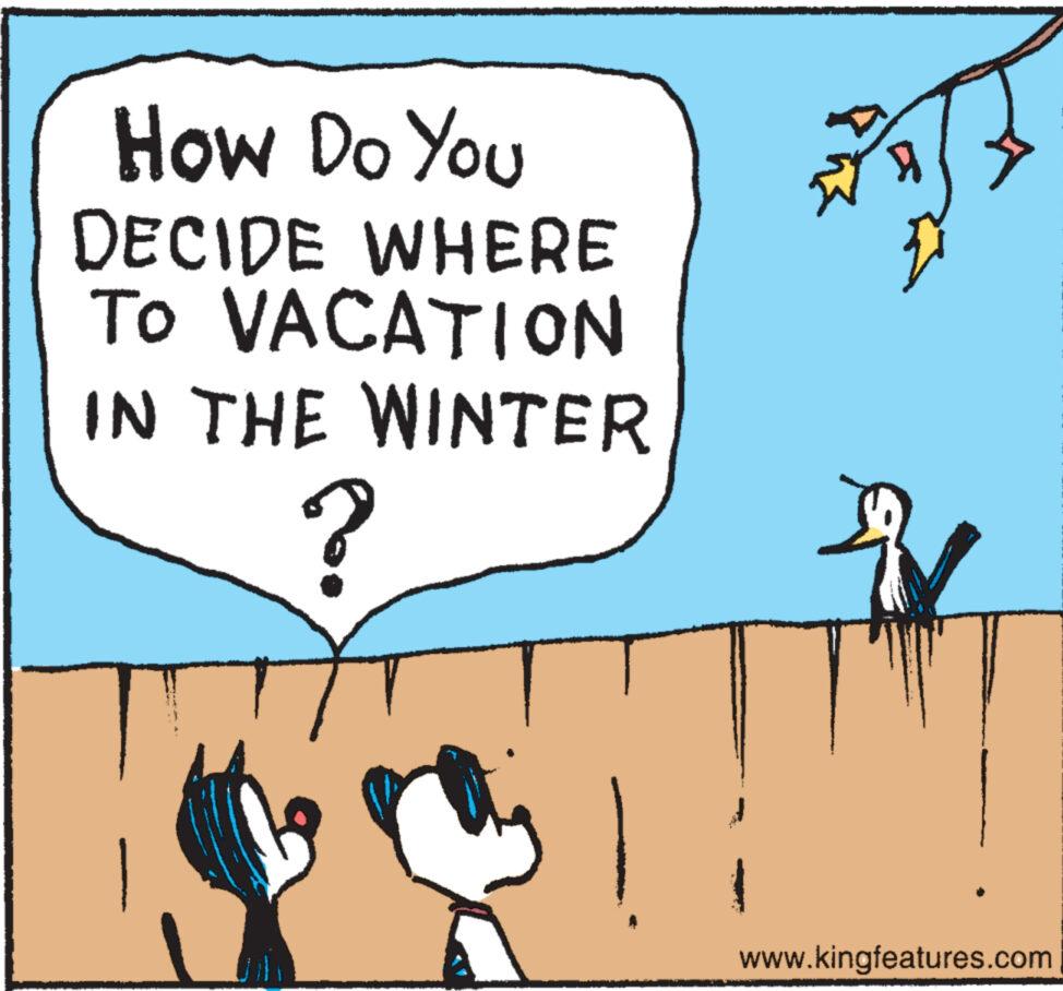 Art OCR: How Do You DECIDE WHERE To VACATION IN THE WINTER ? } www.kingfeatures.com How Do You DECIDE WHERE To VACATION IN THE WINTER ? } www.kingfeatures.com