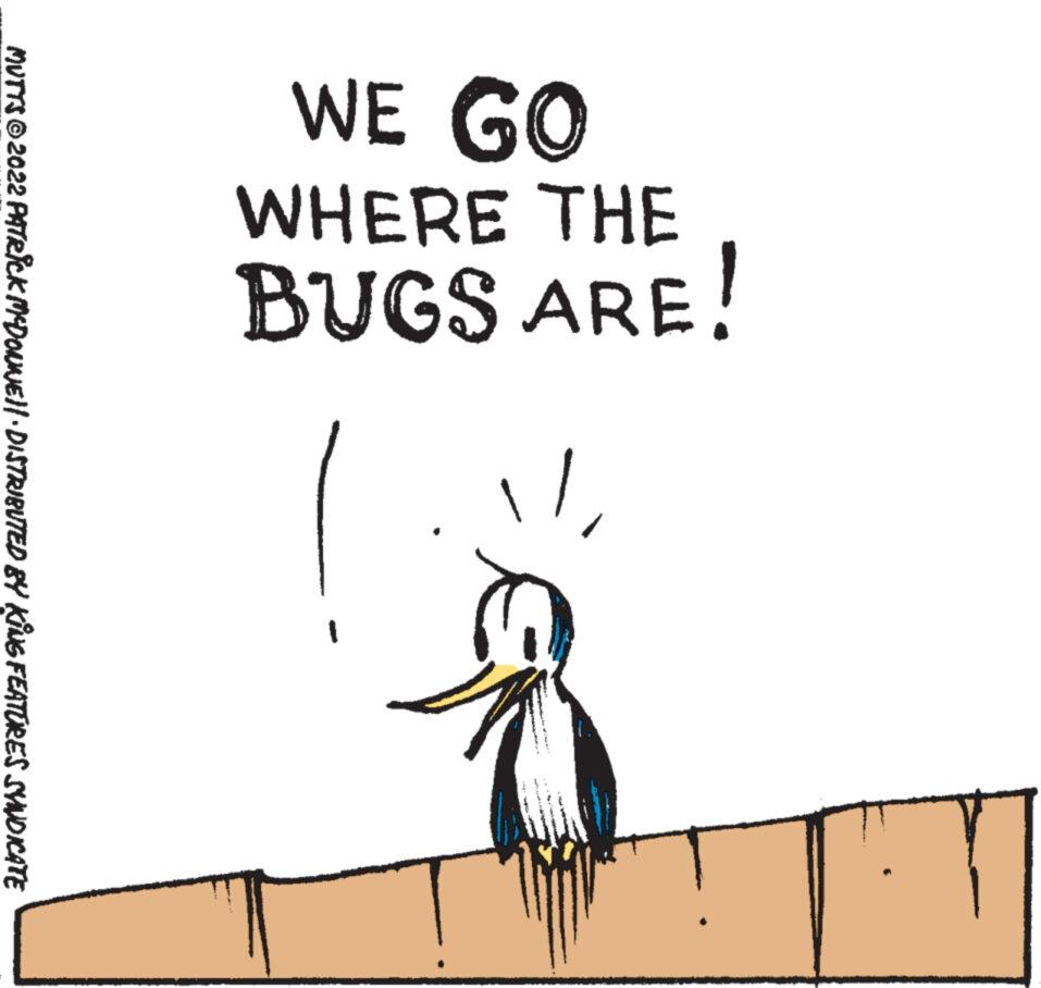 Drawing OCR: WE GO WHERE THE BUGS ARE! MUTTS?2022 PATRICK MCDONNE)|· DISTRIBUTED BY KING FEATURES SYNDICATE WE GO WHERE THE BUGS ARE ! MUTTS?2022 PATRICK MCDONNE ) | · DISTRIBUTED BY KING FEATURES SYNDICATE