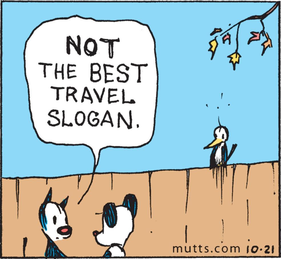 Gesture OCR: NOT THE BEST TRAVEL SLOGAN DE mutts.com 10.21 NOT THE BEST TRAVEL SLOGAN DE mutts.com 10.21