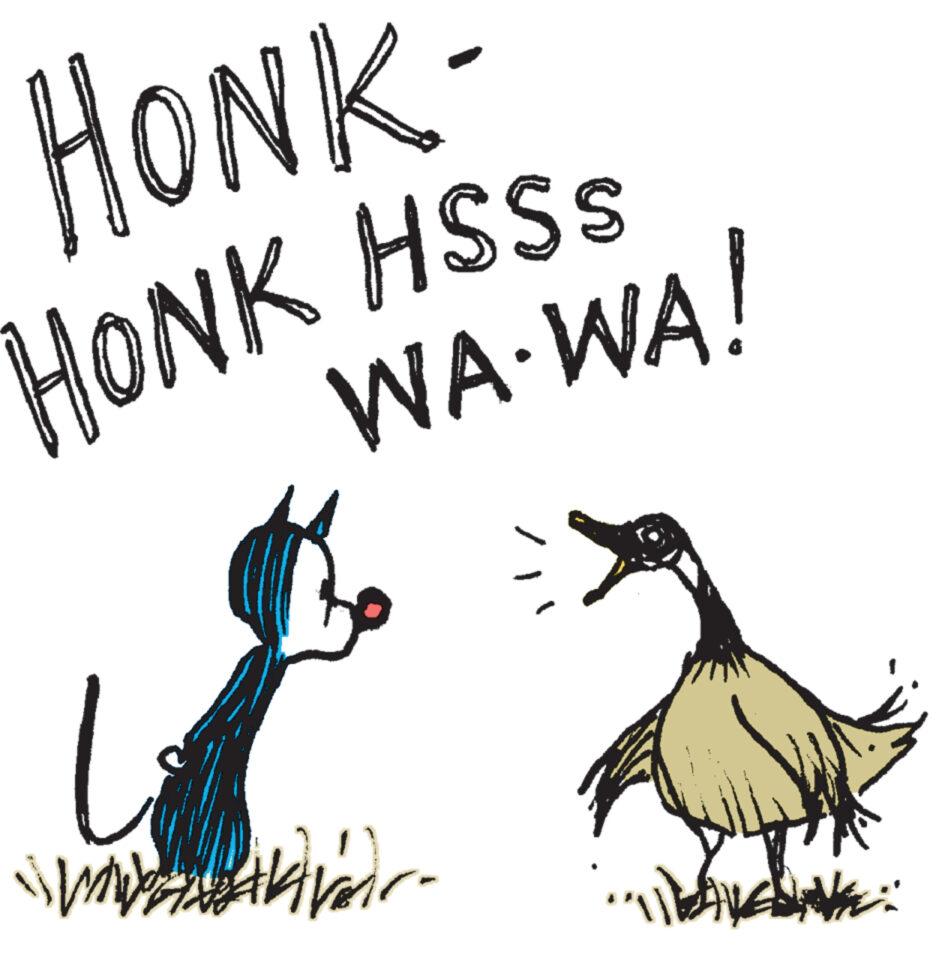 Tail OCR: HONK HONK HSSS WA.WA! www.mar "")) HONK HONK HSSS WA.WA ! www.mar " " ) )