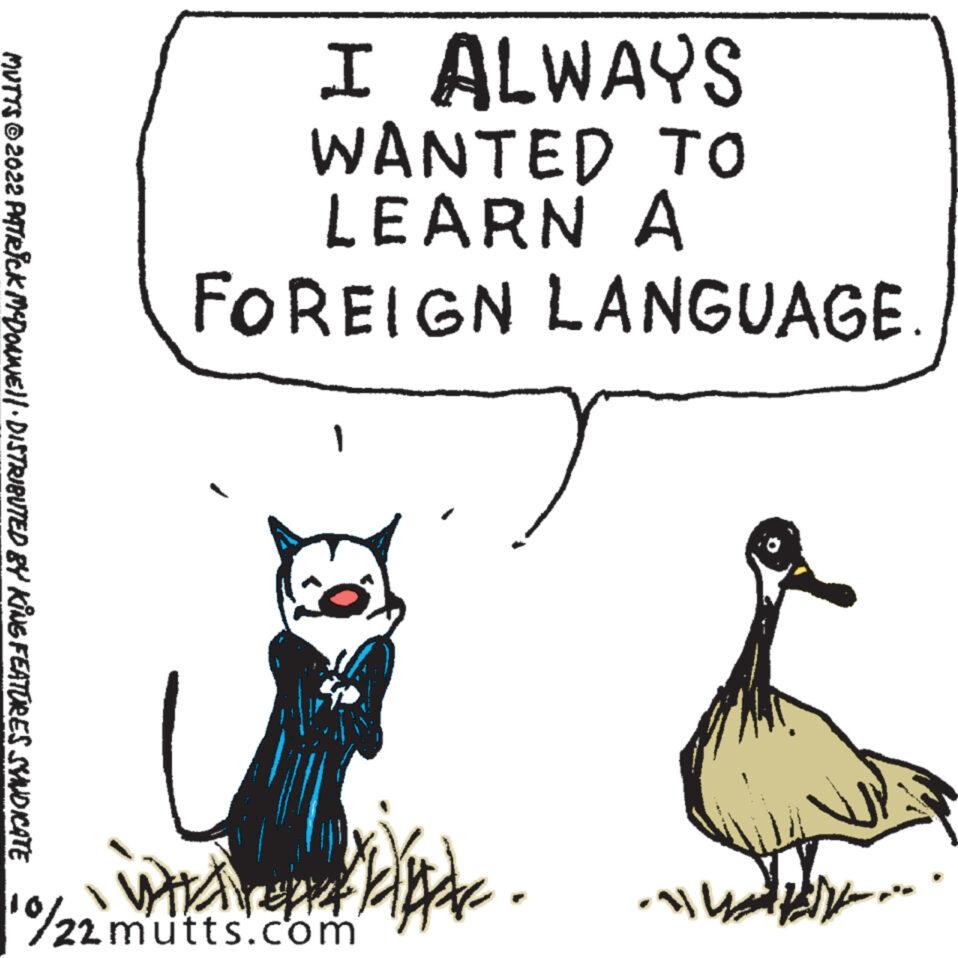 Line OCR: MUTTS © 2022 PATRICK MCDONNE||· DISTRIBUTED BY KING FEATURES SYNDICATE I ALWAYS WANTED TO LEARN A FOREIGN LANGUAGE. ? epp 22 mutts.com Bpk. ???? EM MUTTS © 2022 PATRICK MCDONNE || · DISTRIBUTED BY KING FEATURES SYNDICATE I ALWAYS WANTED TO LEARN A FOREIGN LANGUAGE . ? epp 22 mutts.com Bpk . ???? EM