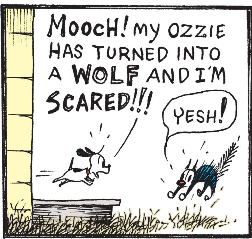 Poster OCR: Pab S Ph MoocH! My OZZIE HAS TURNED INTO A WOLF AND I'M SCARED!!! YESH! +++ 20 d jiems van vaike piktë ajar dan ma ndali.. d. Pab S Ph MoocH ! My OZZIE HAS TURNED INTO A WOLF AND I'M SCARED !!! YESH ! +++ 20 d jiems van vaike piktë ajar dan ma ndali .. d .