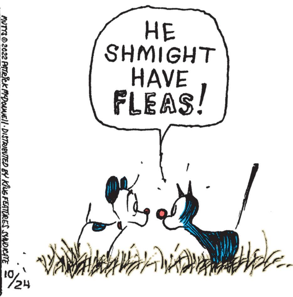 Design OCR: 3H SHMIGHT HAVE FLEAS! Jeff MUTTS © 2022 PATRICK MYDONWE||· DISTRIBUTED BY KING FEATURES SYNDICATE 0/24 3H SHMIGHT HAVE FLEAS ! Jeff MUTTS © 2022 PATRICK MYDONWE || · DISTRIBUTED BY KING FEATURES SYNDICATE 0/24