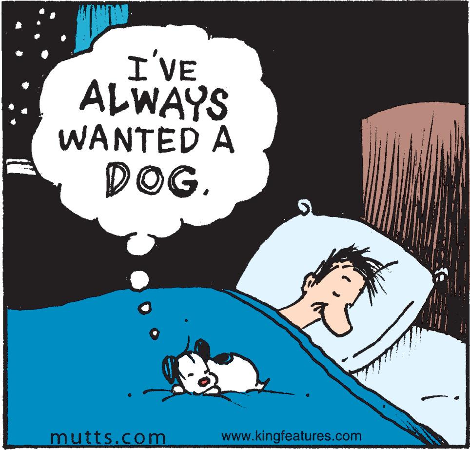 Fictional character OCR: I'VE ALWAYS WANTED A DOG. mutts.com www.kingfeatures.com I'VE ALWAYS WANTED A DOG . mutts.com www.kingfeatures.com