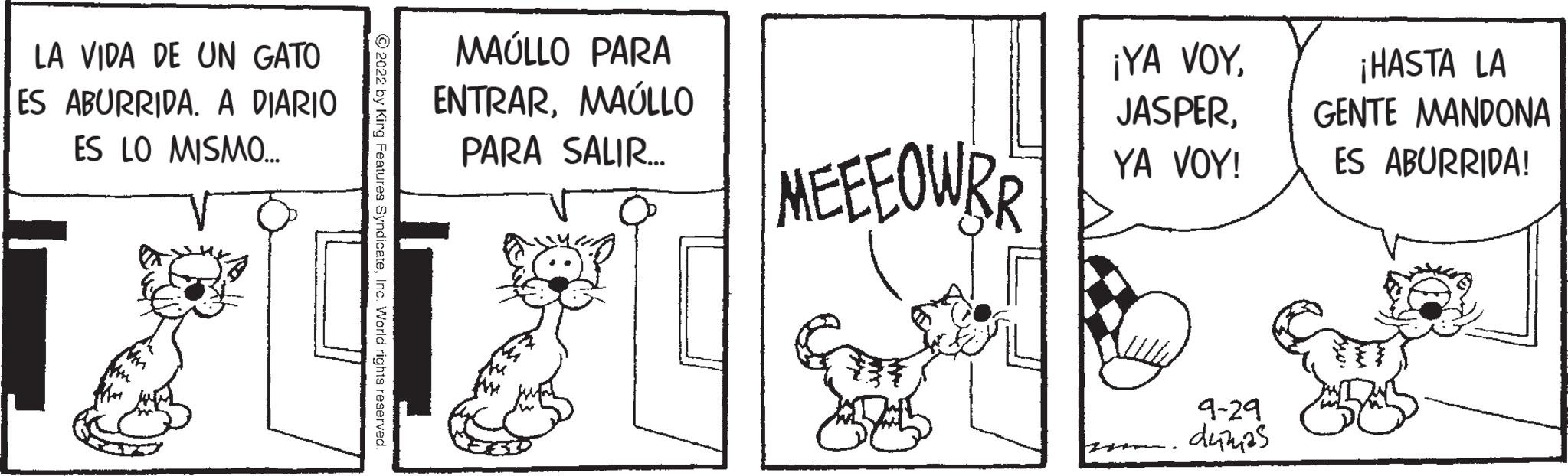 Art OCR: LA VIDA DE UN GATO ES ABURRIDA. A DIARIO ES LO MISMO... MAÚLLO PARA ENTRARMAÚLLO PARA SALIR... MEEEOWRR ¡YA VOYYA VOY! 9-29 d47425 ¡HASTA LA GENTE MANDONA ES ABURRIDA! LA VIDA DE UN GATO ES ABURRIDA . A DIARIO ES LO MISMO ... MAÚLLO PARA ENTRARMAÚLLO PARA SALIR ... MEEEOWRR ¡ YA VOYYA VOY ! 9-29 d47425 ¡ HASTA LA GENTE MANDONA ES ABURRIDA !