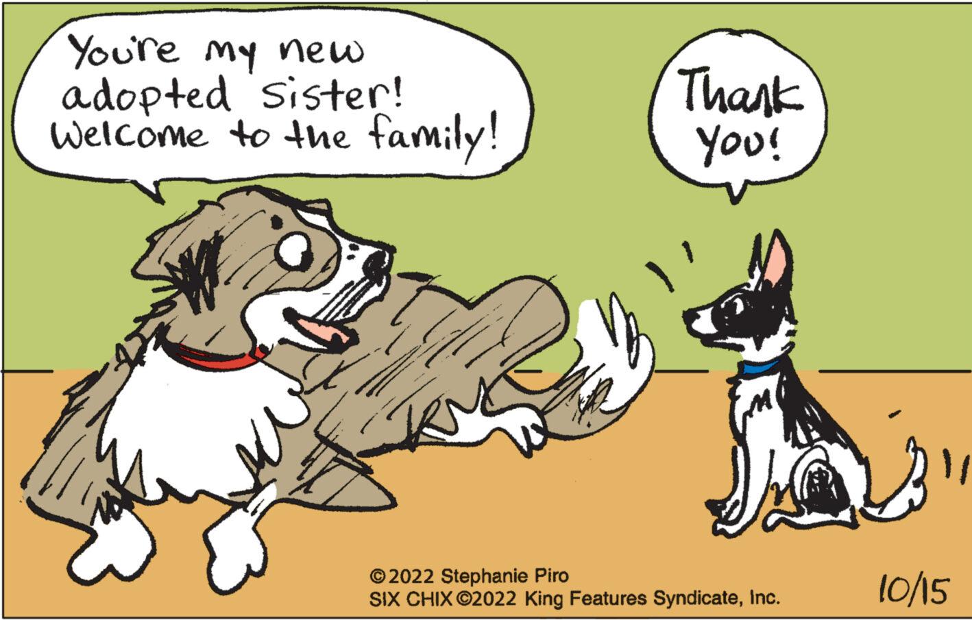 Companion dog OCR: You're my new adopted sister! Welcome to the family! Thank You! ?2022 Stephanie Piro SIX CHIX ©2022 King Features SyndicateInc. 23" 10/15 You're my new adopted sister ! Welcome to the family ! Thank You ! ?2022 Stephanie Piro SIX CHIX © 2022 King Features SyndicateInc. 23 " 10/15