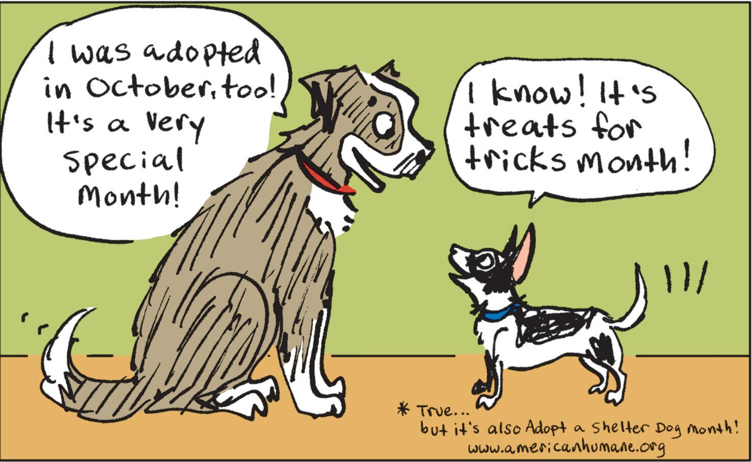 Font OCR: I was adopted in Octobertoo! It's a very Special Month! a I know! It's treats for tricks month! s!!! * True... but it's also Adopt a shelter Dog month! www.americanhumane.org I was adopted in Octobertoo ! It's a very Special Month ! a I know ! It's treats for tricks month ! s !!! * True ... but it's also Adopt a shelter Dog month ! www.americanhumane.org