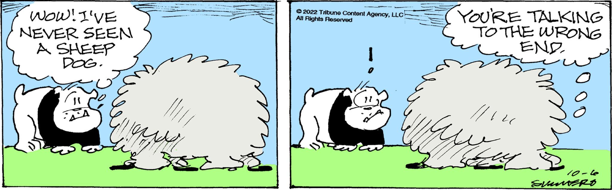 Pleased OCR: WOW! I'VE NEVER SEEN A SHEEP DOG. eppad ?2022 Tribune Content AgencyLLC All Rights Reserved YOU'RE TALKING TO THE WRONG END //140 Luy ??? ???? 10-4 SUMERO WOW ! I'VE NEVER SEEN A SHEEP DOG . eppad ?2022 Tribune Content AgencyLLC All Rights Reserved YOU'RE TALKING TO THE WRONG END // 140 Luy ??? ???? 10-4 SUMERO