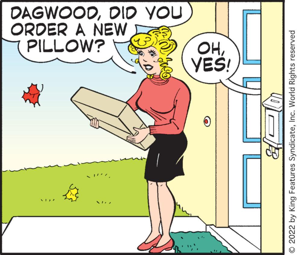 Art OCR: PILLOW? ORDER A NEW DAGWOODDID YOU YES! OHInc. World Rights reserved PILLOW ? ORDER A NEW DAGWOODDID YOU YES ! OH© 2022 by King Features SyndicateInc. World Rights reserved