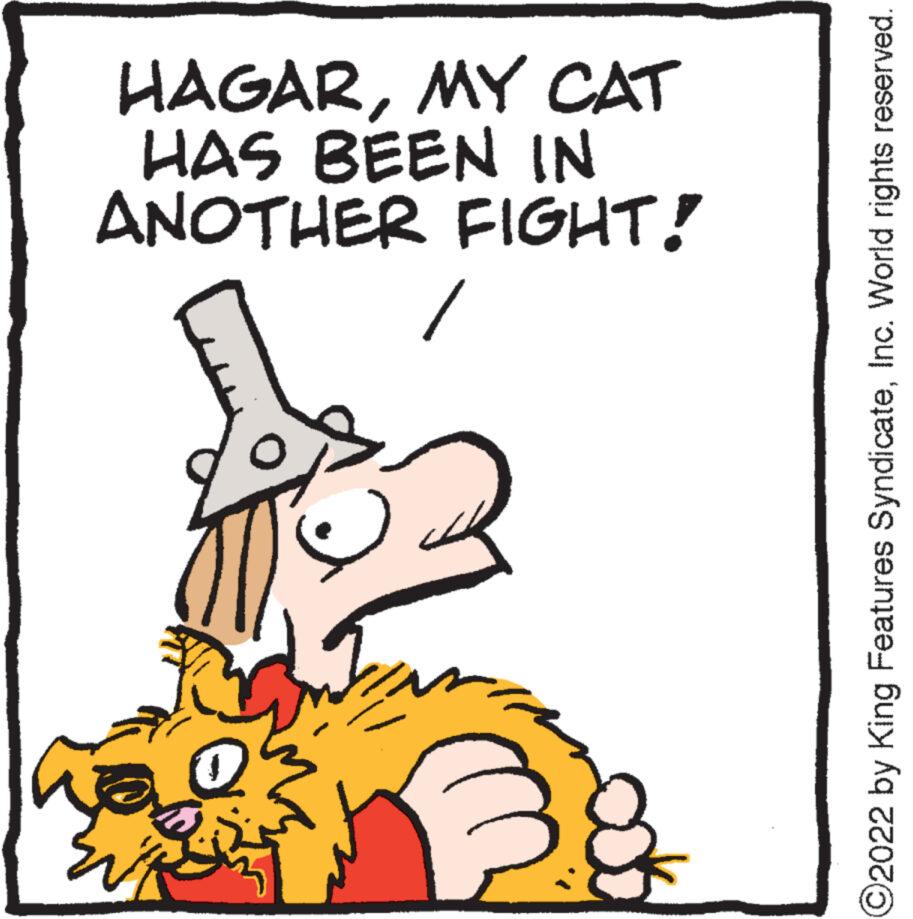 Drawing OCR: / ANOTHER FIGHT! HAS BEEN IN HAGARMY CAT ?2022 by King Features SyndicateInc. World rights reserved. / ANOTHER FIGHT ! HAS BEEN IN HAGARMY CAT ?2022 by King Features SyndicateInc. World rights reserved .