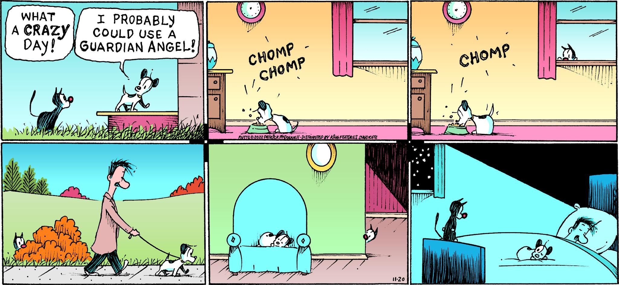 Illustration OCR: WHAT A CRAZY DAY! I PROBABLY COULD USE A GUARDIAN ANGEL! NAU Walang kay ELL BAL ARE HINE CHOMP 1/ CHOMP - MUTTS 2022 PATRICK MCDOUNE!! DISTRIBUTED BY KING FEATURES SYNDICATE 11-20 CHOMP H WHAT A CRAZY DAY ! I PROBABLY COULD USE A GUARDIAN ANGEL ! NAU Walang kay ELL BAL ARE HINE CHOMP 1 / CHOMP - MUTTS 2022 PATRICK MCDOUNE !! DISTRIBUTED BY KING FEATURES SYNDICATE 11-20 CHOMP H