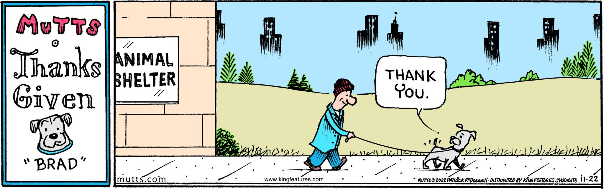 Plant OCR: MUTTS Thanks ANIMAL SHELTER // Given "BRAD" utts.com ?? dicta' www.kingfeatures.com Kalk!!! THANK You. MAL Vide LO MUTTS?2022 PATRICK MCDONNEll · DISTRIBUTED BY KING FEATURES SYNDICATE 11.22 MUTTS Thanks ANIMAL SHELTER // Given " BRAD " utts.com ?? dicta ' www.kingfeatures.com Kalk !!! THANK You . MAL Vide LO MUTTS?2022 PATRICK MCDONNEll · DISTRIBUTED BY KING FEATURES SYNDICATE 11.22