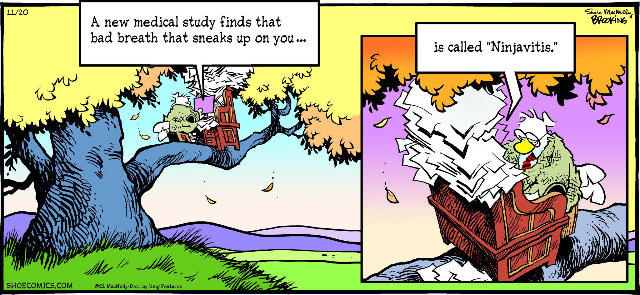 Publication OCR: 11/20 ??? SHOECOMICS.COM A new medical study finds that bad breath that sneaks up on you... AM /// ?22 MacNelly-Dist. by King Features 40 is called "Ninjavitis." Susie MacNelly BROOKING 11/20 ??? SHOECOMICS.COM A new medical study finds that bad breath that sneaks up on you ... AM /// ?22 MacNelly - Dist . by King Features 40 is called " Ninjavitis . " Susie MacNelly BROOKING