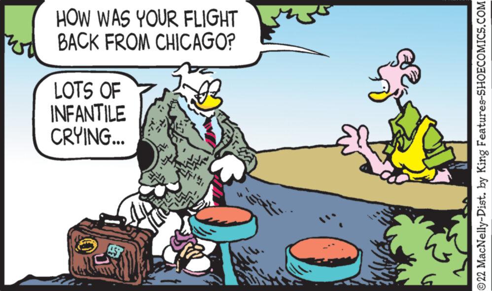 Conversation OCR: HOW WAS YOUR FLIGHT BACK FROM CHICAGO? LOTS OF INFANTILE CRYING... 20 STE 114G ©22 MacNelly-Dist. by King Features-SHOECOMICS.COM HOW WAS YOUR FLIGHT BACK FROM CHICAGO ? LOTS OF INFANTILE CRYING ... 20 STE 114G © 22 MacNelly - Dist . by King Features-SHOECOMICS.COM