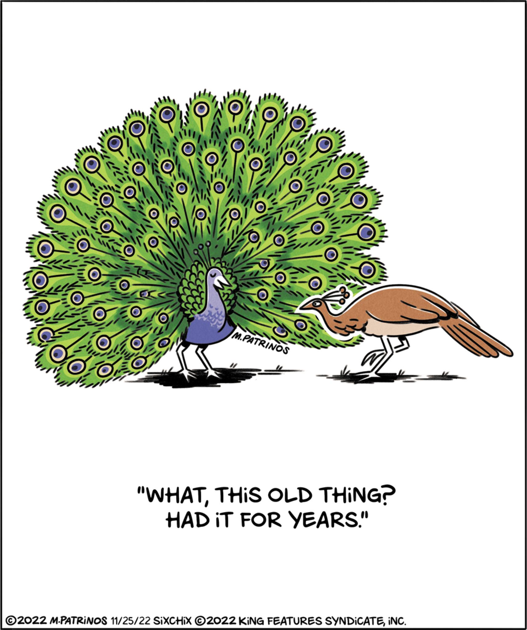 Slope OCR: M.PATRINOS "WHATTHIS OLD THING? HAD IT FOR YEARS." ?2022 M.PATRINOS 11/25/22 SIXCHIX ?2022 KING FEATURES SYNDICATEINC. M.PATRINOS " WHATTHIS OLD THING ? HAD IT FOR YEARS . " ?2022 M.PATRINOS 11/25/22 SIXCHIX ?2022 KING FEATURES SYNDICATEINC .