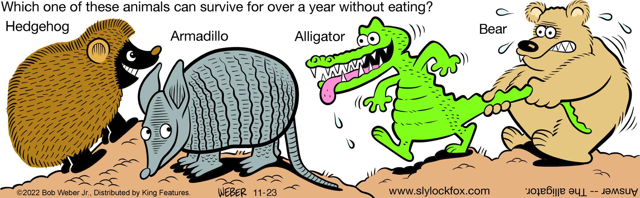 Font OCR: Which one of these animals can survive for over a year without eating? Hedgehog Alligator Armadillo ?2022 Bob Weber Jr.Distributed by King Features. WEBER 11-23 wwwwww www Bear www.slylockfox.com 00 10 ??!je ??L ???suy Which one of these animals can survive for over a year without eating ? Hedgehog Alligator Armadillo ?2022 Bob Weber Jr.Distributed by King Features . WEBER 11-23 wwwwww www Bear www.slylockfox.com 00 10 ?? ! je ??L ???suy