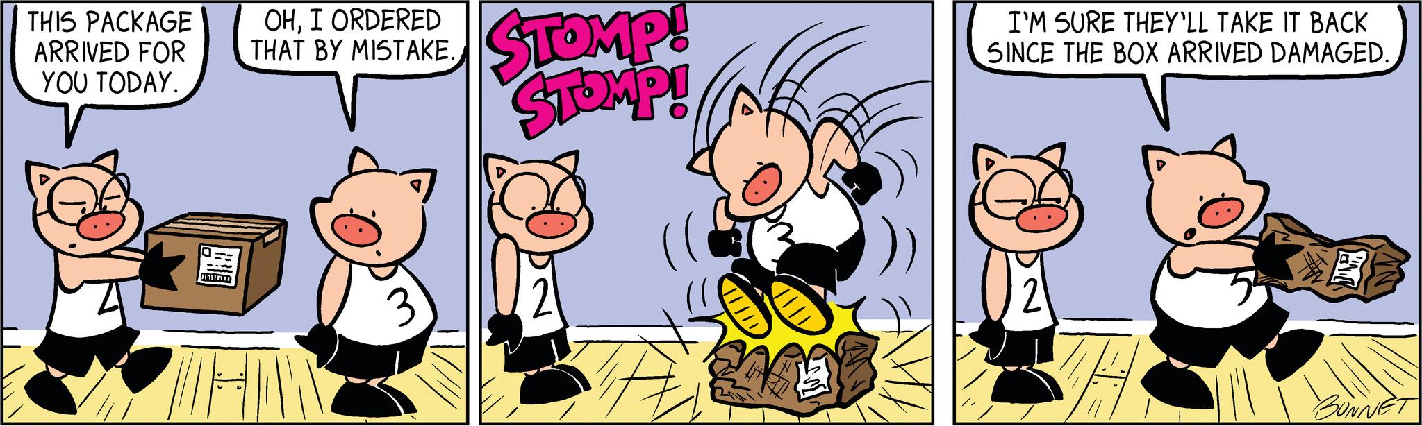 Cat OCR: THIS PACKAGE ARRIVED FOR YOU TODAY. HIIT OHI ORDERED THAT BY MISTAKE. STOMP! STOMP! 21 I'M SURE THEY'LL TAKE IT BACK SINCE THE BOX ARRIVED DAMAGED. BUNNET THIS PACKAGE ARRIVED FOR YOU TODAY . HIIT OHI ORDERED THAT BY MISTAKE . STOMP ! STOMP ! 21 I'M SURE THEY'LL TAKE IT BACK SINCE THE BOX ARRIVED DAMAGED . BUNNET