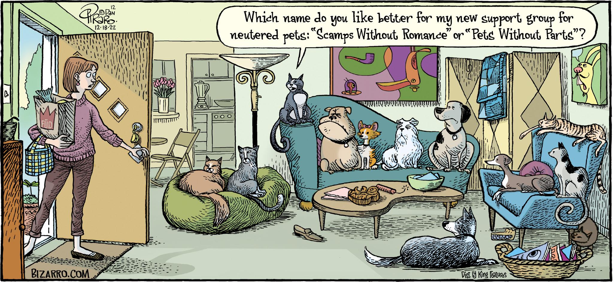 Publication OCR: B BIZARRO.COM 12 12-18-22 Which name do like better for my new support group for neutered pets: "Scamps Without Romance" or "Pets Without Parts"? you P Dist. y King Features B BIZARRO.COM 12 12-18-22 Which name do like better for my new support group for neutered pets : " Scamps Without Romance " or " Pets Without Parts " ? you P Dist . y King Features